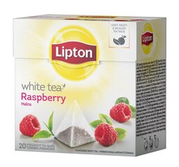 Белый чай Lipton, 20 шт. цена и информация | Чай | 220.lv