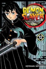 Demon Slayer: Kimetsu no Yaiba, Vol. 12 цена и информация | Учебный материал по иностранным языкам | 220.lv