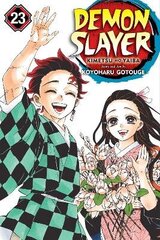 Demon Slayer: Kimetsu no Yaiba, Vol. 23 цена и информация | Учебный материал по иностранным языкам | 220.lv