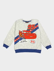Džemperis zēnam Cars, pelēks cena un informācija | Zēnu jakas, džemperi, žaketes, vestes | 220.lv