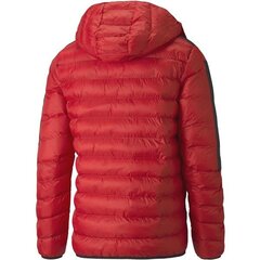 JACKET PUMA FERRARI RACE T7 ECOLITE 53165502 цена и информация | Мужские куртки | 220.lv