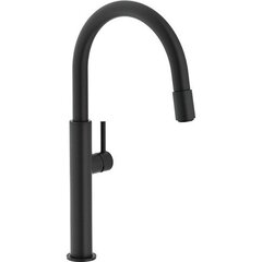 Jaucējkrāns 115.0545.135 izlietnei Franke Pescara Swivel Spout Up cena un informācija | Jaucējkrāni | 220.lv