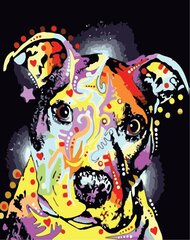 Glezna pēc numuriem "Krāsains suns", 40x50 K 6722 cena un informācija | Gleznas pēc numuriem | 220.lv