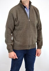 Свитер мужской на молнии Ot-thomas 1689, коричневый цена и информация | Мужские свитера | 220.lv