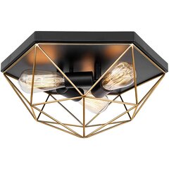 Griestu lampa Euclid, Black/Gold cena un informācija | Griestu lampas | 220.lv