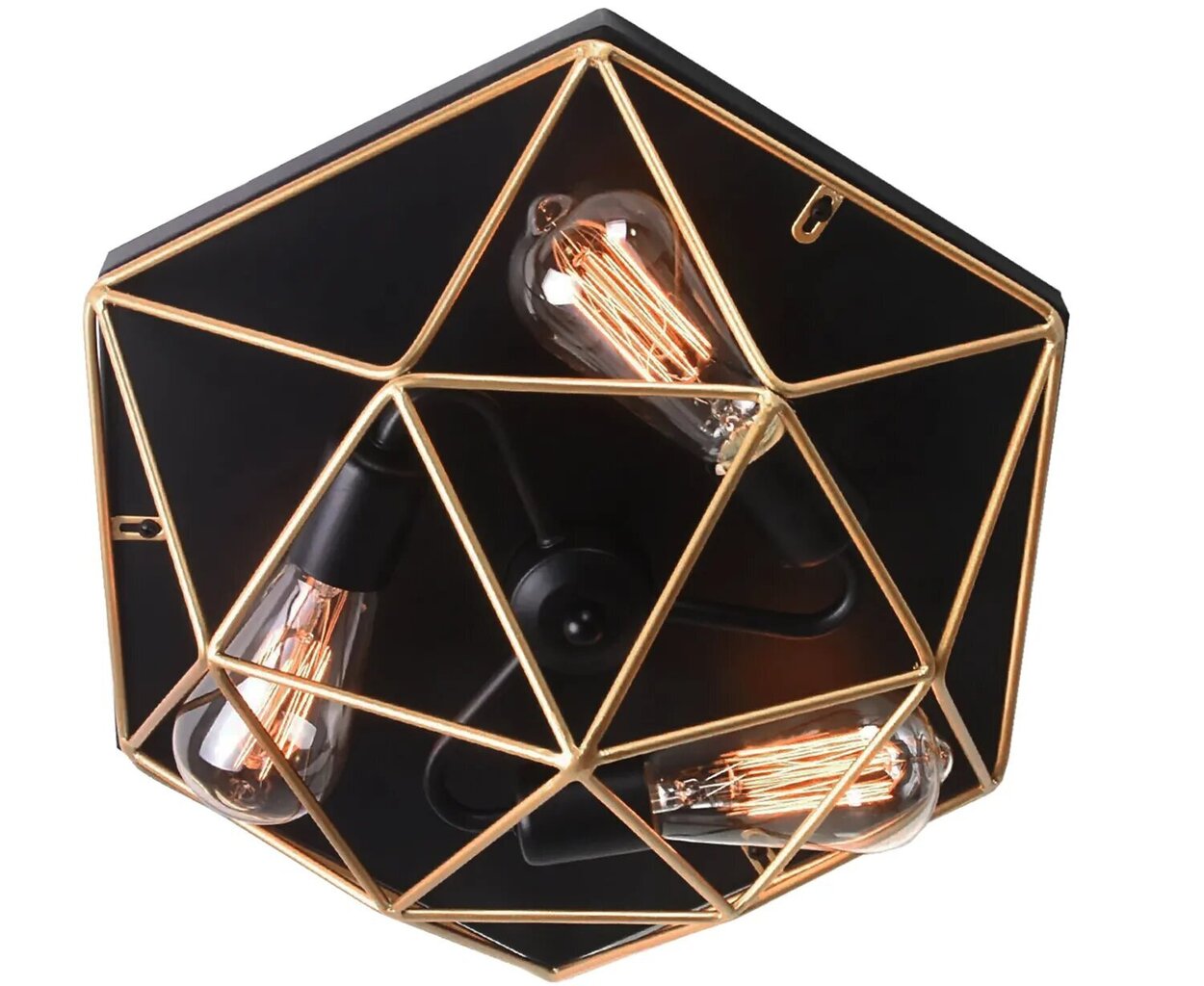 Griestu lampa Euclid, Black/Gold цена и информация | Griestu lampas | 220.lv