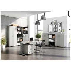 Письменный стол 4252, серый цвет цена и информация | Компьютерные, письменные столы | 220.lv