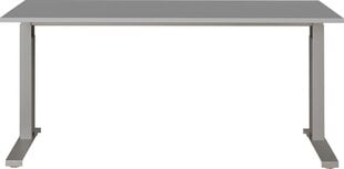 Письменный стол 4240, серый цвет цена и информация | Компьютерные, письменные столы | 220.lv
