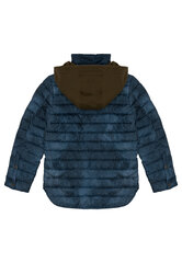Демисезонная куртка для мальчиков Gulliver, с капюшоном цена и информация | Зимняя одежда для детей | 220.lv