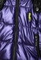 Virsjaka violeta starpsezonas zēniem Gulliver цена и информация | Ziemas apģērbs bērniem | 220.lv