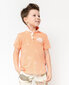 Oranžs polo krekls ar dekoru zēniem Gulliver cena un informācija | Zēnu krekli | 220.lv