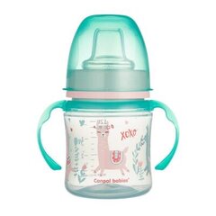 Bērnu krūzīte ar rokturiem Canpol Babies EasyStart 35/207, 120 ml, zaļš цена и информация | Бутылочки и аксессуары | 220.lv