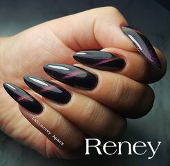 Reney Cat Eye Hybrid laka 006 10ml cena un informācija | Nagu lakas, stiprinātāji | 220.lv