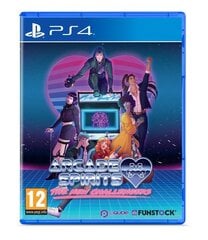 Arcade Spirits: The New Challengers Playstation 4 PS4 spēle cena un informācija | Datorspēles | 220.lv