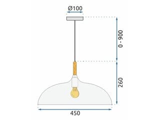 Griestu lampa ANZO White cena un informācija | Piekaramās lampas | 220.lv