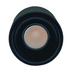 Светодиодный потолочный светильник 10Вт, 3000К, черный цена и информация | Потолочные светильники | 220.lv