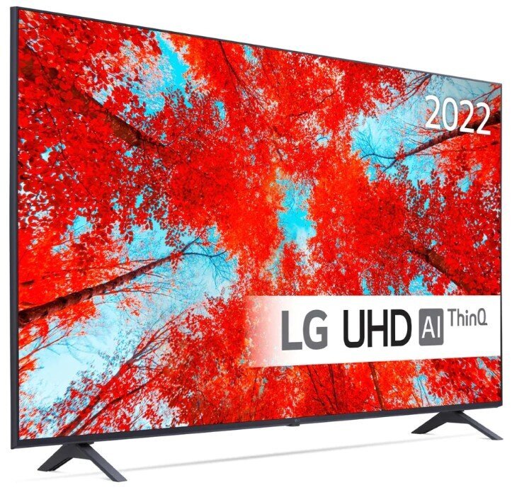 LG 55UQ90003LA цена и информация | Televizori | 220.lv