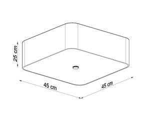 Griestu gaisma Lokko 45 цена и информация | Потолочный светильник | 220.lv