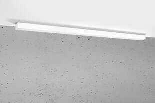 Sandberg Беспроводной внешний аккумулятор Sandberg 420-94 Mag 10000 цена и информация | Потолочные светильники | 220.lv