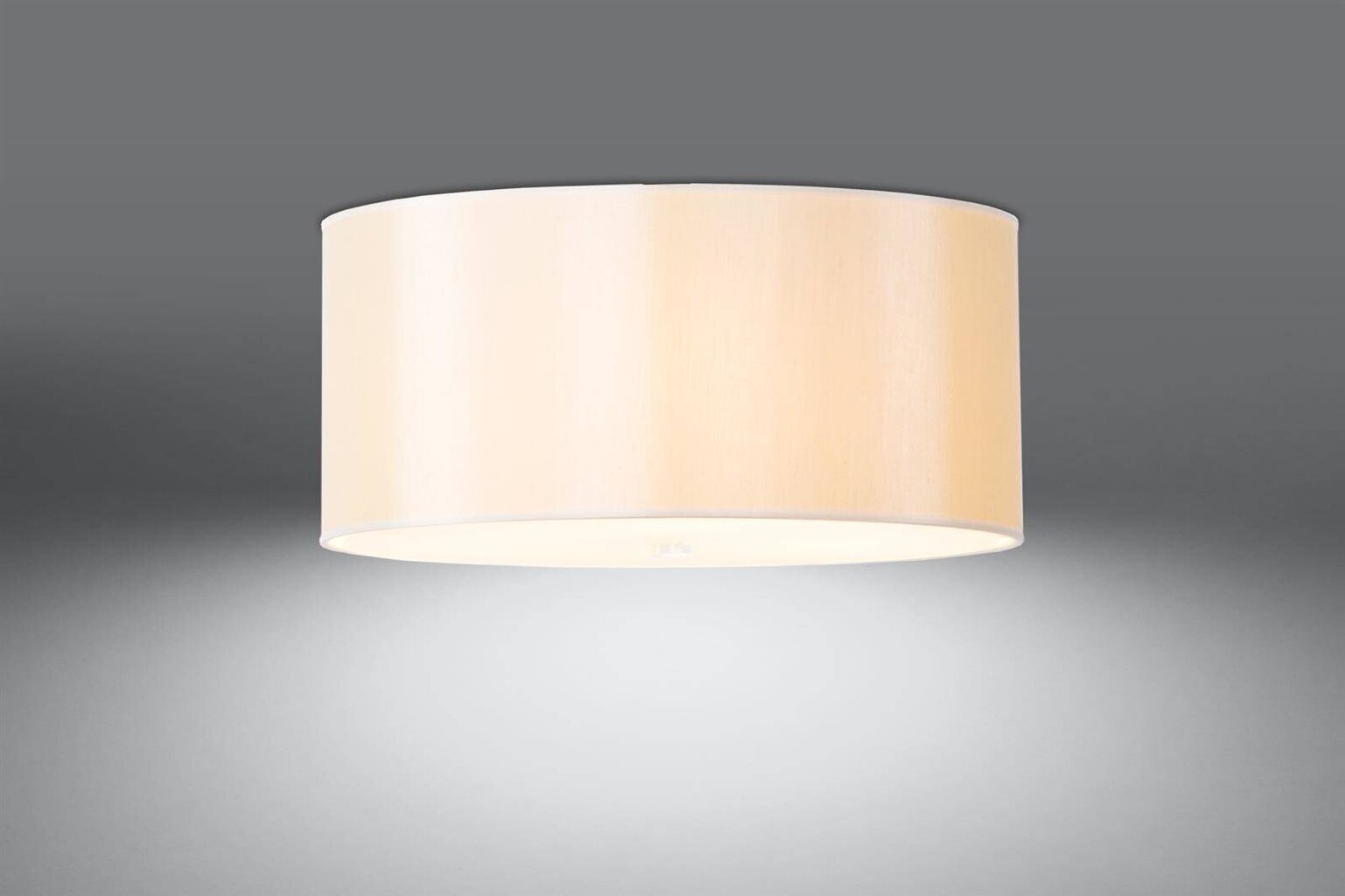Lampa Otto 60 цена и информация | Griestu lampas | 220.lv