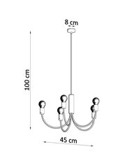 Lampa Piccolo 5 цена и информация | Люстры | 220.lv