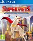 DC League of Super Pets: The Adventures of Krypto and Ace Playstation 4 PS4 spēle цена и информация | Datorspēles | 220.lv