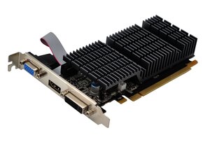 AFOX Radeon HD 6450 2GB DDR3 64Bit DVI HDMI VGA LP Passive AF6450-2048D3L9-V2 цена и информация | Видеокарты (GPU) | 220.lv