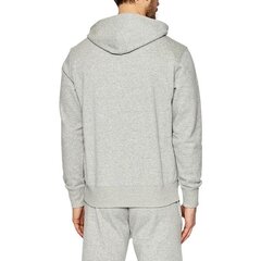 HOODIE CHAMPION ROCHESTER HOODED SWEATSHIRT 217060EM031 цена и информация | Мужские толстовки | 220.lv