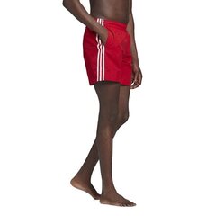 Sporta šorti adidas originals 3 stripe swims gn3526 цена и информация | Плавки, плавательные шорты | 220.lv