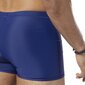 Sporta šorti reebok sw pool short eb6708 цена и информация | Peldšorti, peldbikses | 220.lv