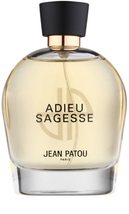 Parfimērijas ūdens Jean Patou Adieu Sagesse sievietēm, 100 ml цена и информация | Sieviešu smaržas | 220.lv