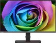 Lenovo ThinkVision Creator Extreme 68.6 cm (27") 3840 x 2160 pixels 4K Ultra HD LED Black цена и информация | Monitori | 220.lv