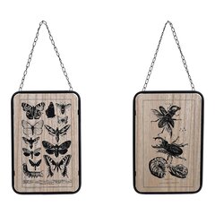 Картина DKD Home Decor Насекомые, черный металл, дерево МДФ (2 шт.) (20,5 x 1 x 32 см) цена и информация | Картины | 220.lv