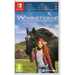 SWITCH Windstorm: Start of a Great Friendship cena un informācija | Datorspēles | 220.lv