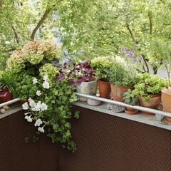 Балконный занавес Patio Tress, коричневый, 0,9 x 3 м цена и информация | Зонты, маркизы, стойки | 220.lv