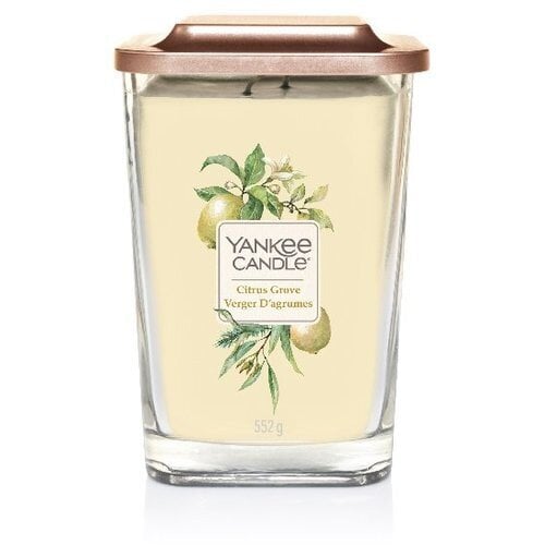 Yankee Candle Elevation Citrus Grove Candle - Aromātiskā svece 347.0g цена и информация | Sveces un svečturi | 220.lv