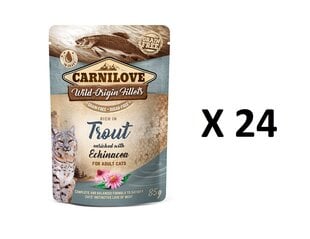 CARNILOVE TROUT ECHINACEA KAĶIEM 24 X 85G cena un informācija | Konservi kaķiem | 220.lv