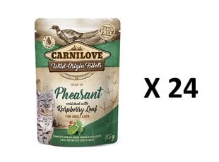 CARNILOVE PHEASANT RASPBERRY LEAVES KAĶIEM 24 X 85G cena un informācija | Konservi kaķiem | 220.lv