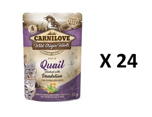 CARNILOVE QUAIL DANDELION STERILIZED KAĶIEM 24 X 85G cena un informācija | Carnilove Zoo preces | 220.lv