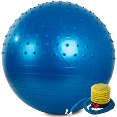Гимнастический мяч, 70 см, синий цена и информация | Гимнастические мячи | 220.lv