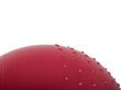 Vingrošanas bumba, 65 cm, sarkana cena un informācija | Vingrošanas bumbas | 220.lv