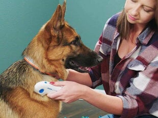 Электрическая расческа от блох для собак цена и информация | Средства по уходу за животными | 220.lv