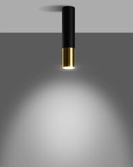 Griestu lampa loopez цена и информация | Потолочный светильник | 220.lv