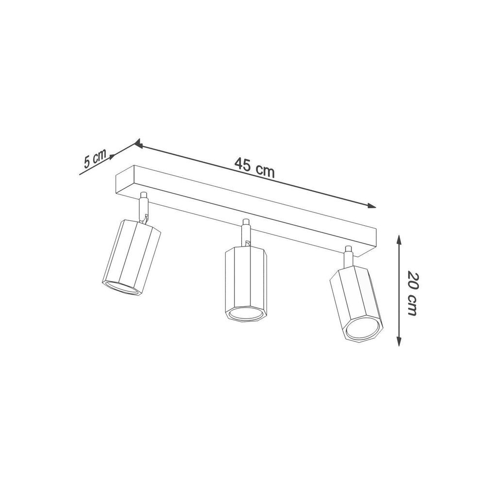 Griestu lampa zeke 3 cena un informācija | Griestu lampas | 220.lv