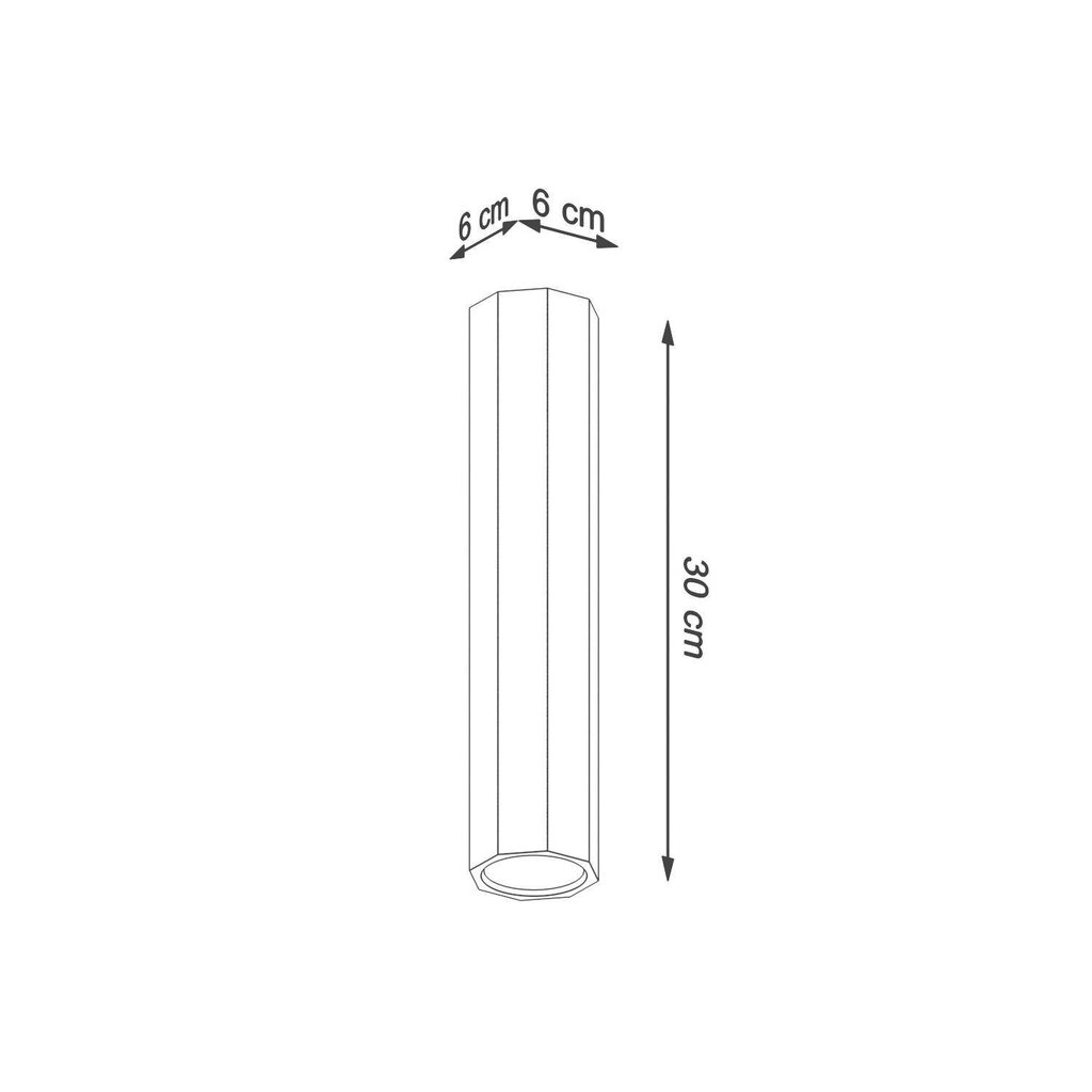 Griestu lampa Zeke 30 цена и информация | Griestu lampas | 220.lv