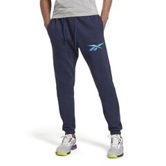 SWEATPANTS REEBOK RI LOGO JOGGER HR9156 цена и информация | Мужская спортивная одежда | 220.lv