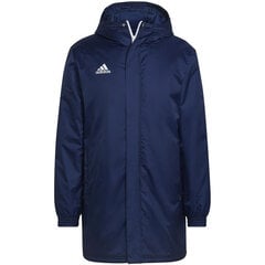 Vīriešu jaka Adidas Entrada 22 Stadium Jacket HG6301, tumši zila цена и информация | Мужские куртки | 220.lv