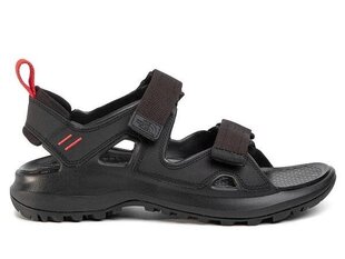 SANDALS THE NORTH FACE HEDGEHOG SANDAL III NF0A46BHKT01 цена и информация | Мужские шлепанцы, босоножки | 220.lv