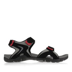 SANDALS MONOTOX MEN SANDAL MNTX RED MSAND1RED цена и информация | Мужские шлепанцы, босоножки | 220.lv