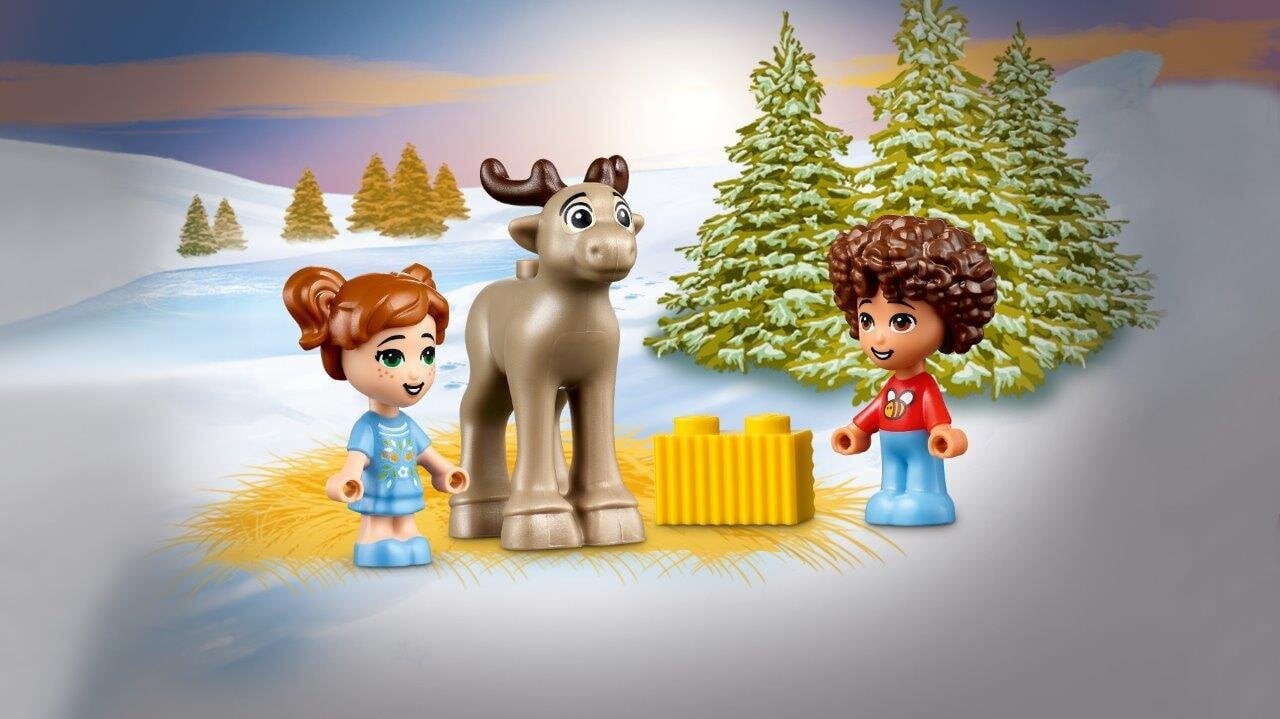 41706 LEGO® Friends Adventes kalendārs cena un informācija | Konstruktori | 220.lv